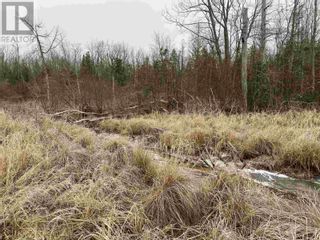 Photo 5: Lot 2 & 3 Con 6 Nelson RD in Ste. Joseph Island: Vacant Land for sale : MLS®# SM240115