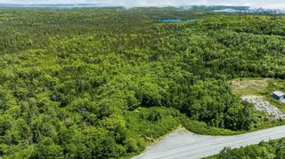 Photo 3: 21057 Highway 7 in Sheet Harbour: 35-Halifax County East Vacant Land for sale (Halifax-Dartmouth)  : MLS®# 202222951