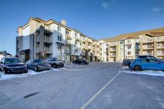 Photo 28: 1408 6118 80 Avenue NE in Calgary: Saddle Ridge Apartment for sale : MLS®# A1191237