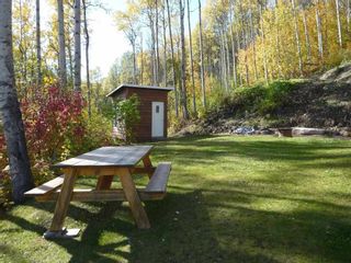 Photo 12: 4485 HUDSON BAY MOUNTAIN ROAD Road in Smithers: Smithers - Rural Manufactured Home for sale (Smithers And Area (Zone 54))  : MLS®# R2447352