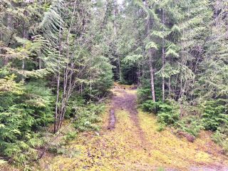 Photo 26: 3,4,6 Armstrong Road in Eagle Bay: Vacant Land for sale : MLS®# 10133907