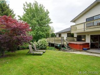 Photo 20: 1532 KENMORE Rd in VICTORIA: SE Gordon Head House for sale (Saanich East)  : MLS®# 759808
