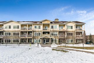 Photo 1: 2105 4 KINGSLAND Close: Airdrie Apartment for sale : MLS®# A1068425