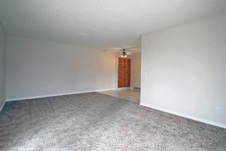Photo 14: 121 Mckinnon Crescent NE in Calgary: Mayland Heights Semi Detached (Half Duplex) for sale : MLS®# A1245207