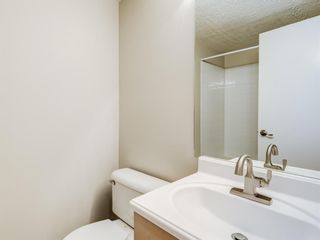 Photo 17: 112 1717 60 Street SE in Calgary: Red Carpet Apartment for sale : MLS®# A1050872