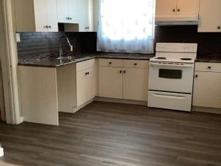Photo 10: 11622 127 Street in Edmonton: Basement Suite for rent