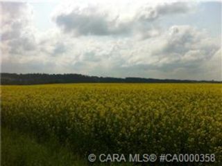 Photo 25: 282 Range Road: Rural Red Deer County Agriculture for sale : MLS®# A1211954