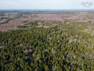 Photo 18: Lot Ridge Road in Plympton Station: Digby County Vacant Land for sale (Annapolis Valley)  : MLS®# 202227460