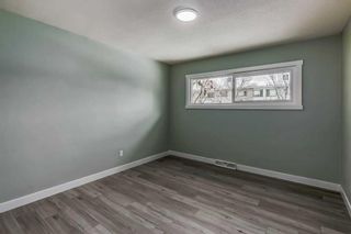 Photo 16: 14 Cornell Road NW in Calgary: Cambrian Heights Detached for sale : MLS®# A2090560