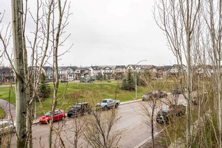 Photo 37: 6311 755 Copperpond Boulevard SE in Calgary: Copperfield Apartment for sale : MLS®# A2125920