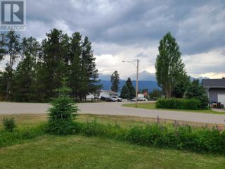 Photo 38: 1096 8TH AVENUE in Valemount: House for sale : MLS®# R2791854
