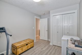 Photo 31: 2816 Montalban Crescent NW in Calgary: Montgomery Detached for sale : MLS®# A2026938