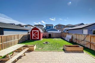 Photo 48: 180 Evanspark Gardens NW in Calgary: Evanston Detached for sale : MLS®# A1144783