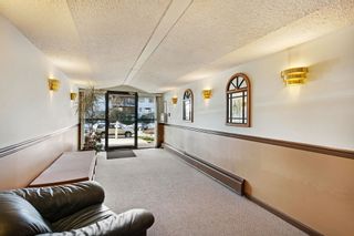 Photo 2: 310 252 W 2ND Street in North Vancouver: Lower Lonsdale Condo for sale : MLS®# R2647604