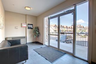 Photo 25: 319 117 Copperpond Common SE in Calgary: Copperfield Apartment for sale : MLS®# A1222494