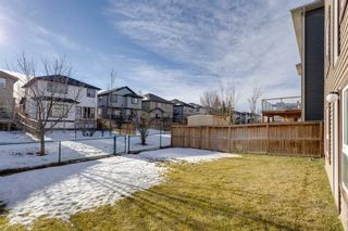 Photo 19: 106 Everhollow Green SW in Calgary: Evergreen Detached for sale : MLS®# A2013156