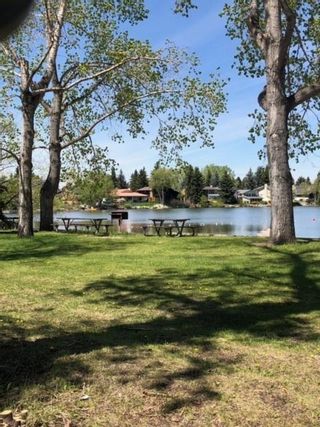 Photo 46: 974 LAKE PLACID Drive SE in Calgary: Lake Bonavista Detached for sale : MLS®# C4299089