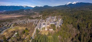 Photo 13: LOT 22 13616 232 Street in Maple Ridge: Silver Valley Land for sale : MLS®# R2552467