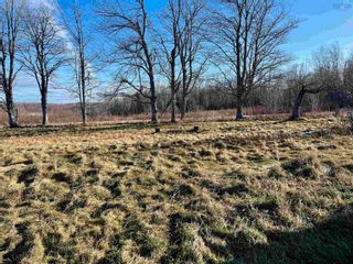 Photo 12: 1549 Casey Road in Linden: 102N-North Of Hwy 104 Vacant Land for sale (Northern Region)  : MLS®# 202325641