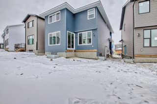 Photo 46: 14 Rowley Gardens NW in Calgary: C-483 Detached for sale : MLS®# A2016049