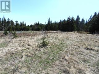 Photo 5: 0 Beeso's Road in Bell Island: Vacant Land for sale : MLS®# 1258500