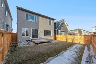Photo 36: 137 Cityside Road NE in Calgary: Cityscape Detached for sale : MLS®# A2114589
