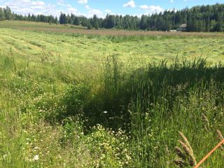 Photo 9: LOT 1 PEARCE Road in Quesnel: Bouchie Lake Land for sale : MLS®# R2850590