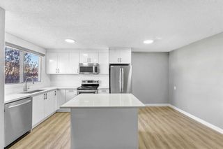 Photo 11: 16 Castlepark Way NE in Calgary: Castleridge Semi Detached (Half Duplex) for sale : MLS®# A2114958