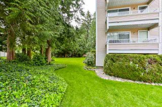 Photo 20: 102 9644 134 Street in Surrey: Whalley Condo for sale in "Parkwoods - Fir" (North Surrey)  : MLS®# R2270857