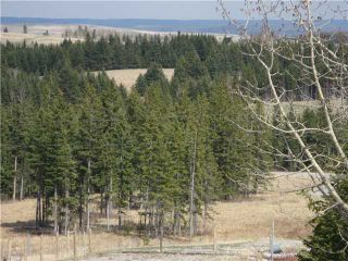 Photo 3: HWY # 1 TO HWY # 68 SOUTH in CALGARY: Rural Bighorn M.D. Rural Land for sale : MLS®# C3615920