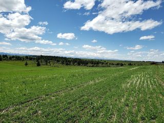 Photo 4: Township 244 Road in Rural Rocky View County: Rural Rocky View MD Residential Land for sale : MLS®# A2061175