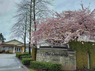 Photo 39: 124 16233 82ND Avenue in Surrey: Fleetwood Tynehead Townhouse for sale in "THE ORCHARDS" : MLS®# R2583227