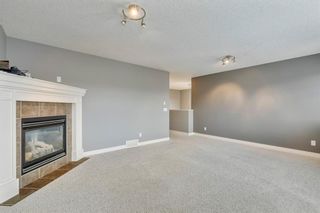 Photo 23: 391 Sagewood Place: Airdrie Detached for sale : MLS®# A1220385