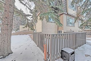 Photo 20: 104 3130 66 Avenue SW in Calgary: Lakeview House for sale : MLS®# C4162418