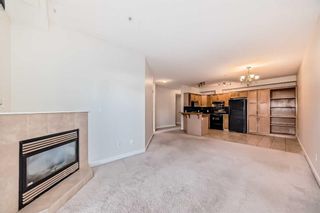 Photo 9: 320 1800 14A Street SW in Calgary: Bankview Apartment for sale : MLS®# A2124871