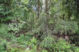 Photo 5: Lot 96 Crowfoot Drive in Anglemont: North Shuswap Land Only for sale (Shuswap)  : MLS®# 10158355