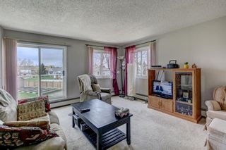 Photo 8: 206 309 Woodside Drive NW: Airdrie Apartment for sale : MLS®# A1218082