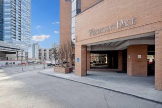 Photo 26: 1005 1100 8 Avenue SW in Calgary: Downtown West End Apartment for sale : MLS®# A2116106