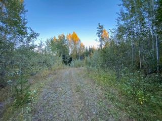 Photo 19: N1/2of DL7871 TAKLA FOREST Road in Prince George: Nechako Ridge Land for sale in "McPhee Road" (PG City North)  : MLS®# R2768067