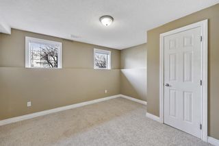 Photo 31: 347 Copperfield Gardens SE in Calgary: Copperfield Detached for sale : MLS®# A1195399