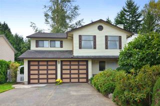 Photo 1: 26596 29B Avenue in Langley: Aldergrove Langley House for sale : MLS®# F1451494