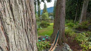Photo 20: 1744 PAINTED WILLOW ROAD: Lindell Beach House for sale (Cultus Lake)  : MLS®# R2501892