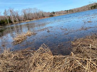 Photo 7: Lot 19 Lakeside Drive in Little Harbour: 108-Rural Pictou County Vacant Land for sale (Northern Region)  : MLS®# 202207904