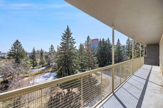 Photo 24: 508 3316 Rideau Place SW in Calgary: Rideau Park Apartment for sale : MLS®# A2120450
