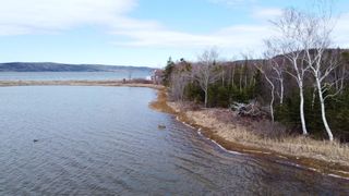 Photo 16: Lot 1&2 East Bay Highway in Big Pond: 207-C. B. County Vacant Land for sale (Cape Breton)  : MLS®# 202108705