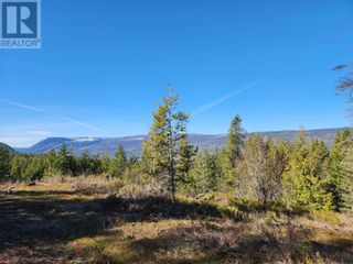 Photo 3: 712 Grange Road in Enderby: Vacant Land for sale : MLS®# 10310045