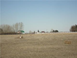 Photo 6: East on Dunbow Road - South on 96 Street in DE WINTON: Rural Foothills M.D. Rural Land for sale : MLS®# C3558895