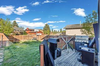 Photo 26: 42 Templeby Way NE in Calgary: Temple Detached for sale : MLS®# A2139074