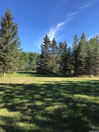 Photo 4: Pocha Acreage in Porcupine: Residential for sale (Porcupine Rm No. 395)  : MLS®# SK929078
