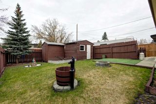 Photo 25: 150 Dovercliffe Close SE in Calgary: Dover Detached for sale : MLS®# A2130723